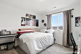 3818 Doherty Ln, McHenry, IL 60050 - Photo 19