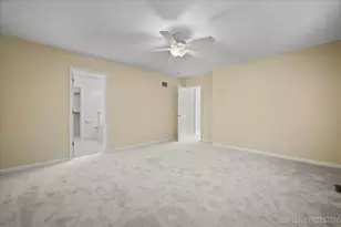 438 W Meadow Mist Ln, Round Lake, IL 60073 - Photo 21