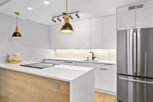 1455 N Sandburg Terrace, Chicago, IL 60610 - Photo 3