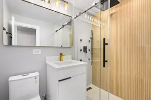 1455 N Sandburg Terrace, Chicago, IL 60610 - Photo 15