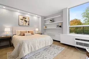 1455 N Sandburg Terrace, Chicago, IL 60610 - Photo 11