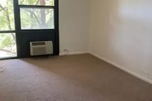 2921 S Michigan Ave, Chicago, IL 60616 - Photo 7