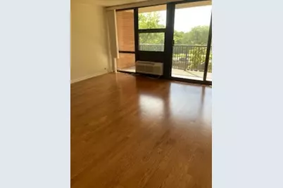 2921 S Michigan Avenue #405, Chicago, IL 60616 - Photo 5