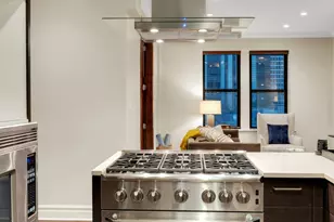 70 E Walton St, Chicago, IL 60611 - Photo 7