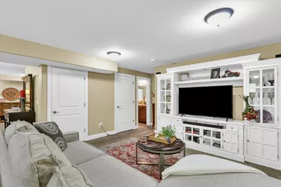 1121 Declaration Drive, Savoy, IL 61874 - Photo 49