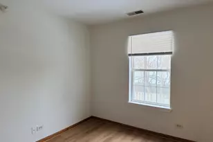 1303 Orleans Dr, Mundelein, IL 60060 - Photo 19