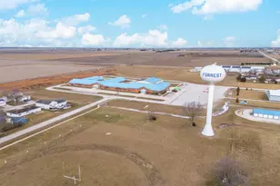 121 E James St, Forrest, IL 61741 - Photo 27