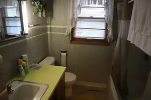 113 Stephens Ave, Walnut, IL 61376 - Photo 5