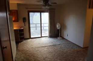 113 Stephens Ave, Walnut, IL 61376 - Photo 3