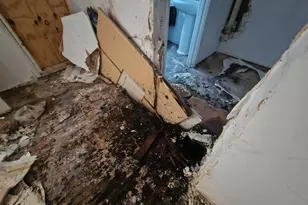 11641 S Sangamon St, Chicago, IL 60643 - Photo 13