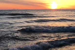 1628 W Juneway Ave, Chicago, IL 60626 - Photo 39