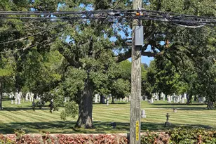 1628 W Juneway Ave, Chicago, IL 60626 - Photo 37