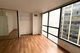 230 E Ontario St, Chicago, IL 60611 - Photo 9