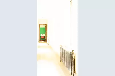 8725 S May Street, Chicago, IL 60620 - Photo 67