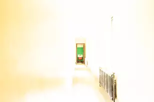 8725 S May St, Chicago, IL 60620 - Photo 67