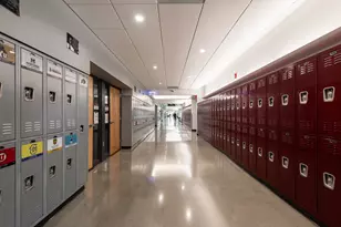 8725 S May St, Chicago, IL 60620 - Photo 101