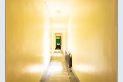 8725 S May Street, Chicago, IL 60620 - Photo 65