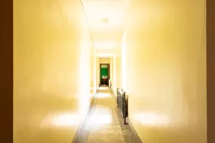 8725 S May St, Chicago, IL 60620 - Photo 65