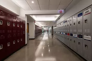 8725 S May St, Chicago, IL 60620 - Photo 105