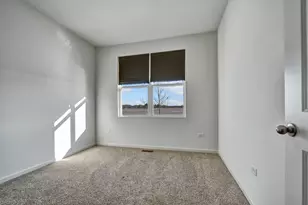 16954 S Lucas Dr, Plainfield, IL 60586 - Photo 31