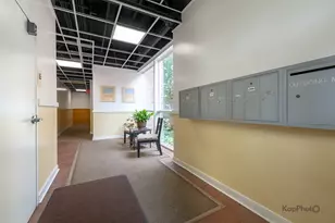 915 S Oak Park Ave, Oak Park, IL 60304 - Photo 39