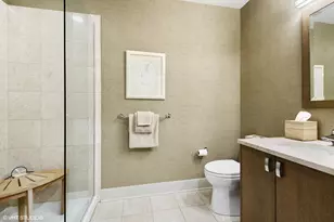 1155 N Dearborn St, Chicago, IL 60610 - Photo 17