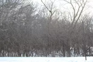 930 N N Fairfield Rd, Round Lake Beach, IL 60073 - Photo 1