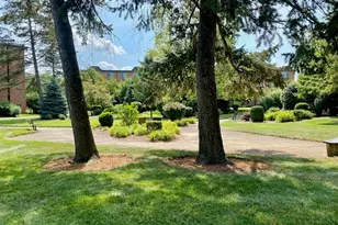 1217 S Old Wilke Rd, Arlington Heights, IL 60005 - Photo 17