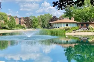 1217 S Old Wilke Rd, Arlington Heights, IL 60005 - Photo 19