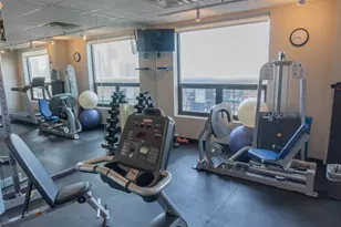 1250 N Dearborn St, Chicago, IL 60610 - Photo 47