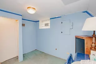 127 Belle Plaine Ave, Park Ridge, IL 60068 - Photo 43