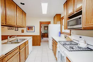 127 Belle Plaine Ave, Park Ridge, IL 60068 - Photo 11