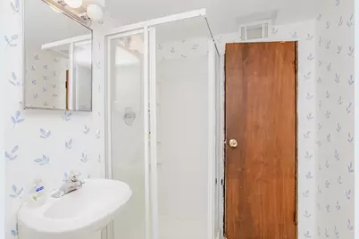 127 Belle Plaine Avenue, Park Ridge, IL 60068 - Photo 45