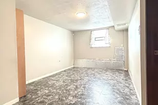 450 E Mulberry Ct, Glenwood, IL 60425 - Photo 13