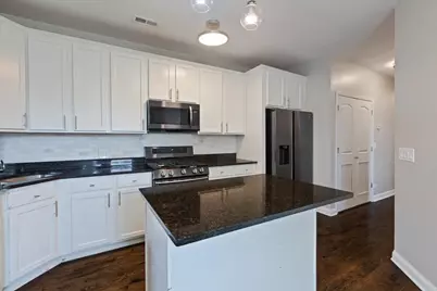 4541 S Evans Avenue #2, Chicago, IL 60653 - Photo 9