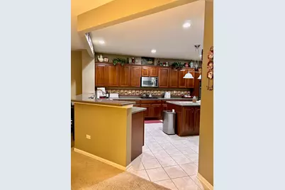 12856 Tahoe Drive, Huntley, IL 60142 - Photo 29