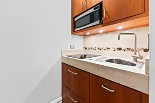 2600 N Lakeview Ave, Chicago, IL 60614 - Photo 53