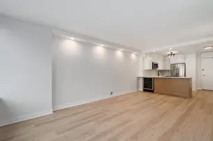 1560 N Sandburg Terrace, Chicago, IL 60610 - Photo 11