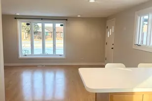 4001 W 90th Pl, Hometown, IL 60456 - Photo 7