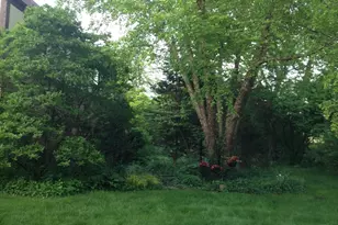 4925 Grand Ave, Western Springs, IL 60558 - Photo 11