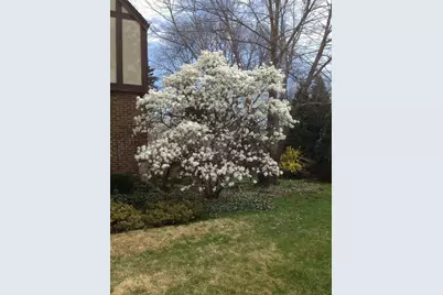 4925 Grand Avenue, Western Springs, IL 60558 - Photo 15