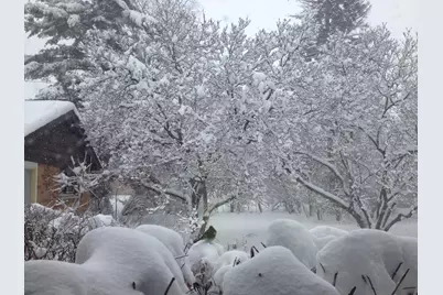 4925 Grand Avenue, Western Springs, IL 60558 - Photo 13