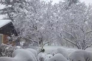 4925 Grand Ave, Western Springs, IL 60558 - Photo 13