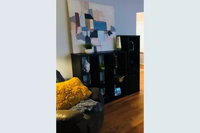 9044 S Merrill Avenue, Chicago, IL 60617 - Photo 23