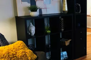 9044 S Merrill Ave, Chicago, IL 60617 - Photo 23