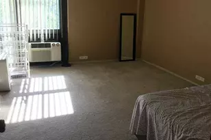 3041 S Michigan Ave, Chicago, IL 60616 - Photo 7