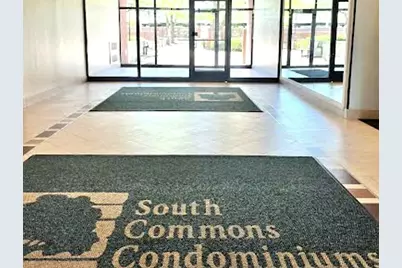 3041 S Michigan Avenue #509, Chicago, IL 60616 - Photo 5