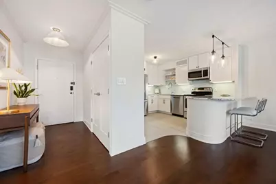 1313 N Ritchie Court #1502, Chicago, IL 60610 - Photo 5