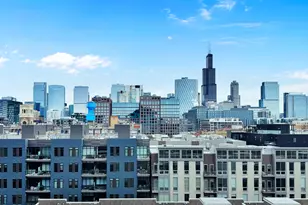 21 N May St, Chicago, IL 60607 - Photo 9