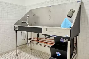 21 N May St, Chicago, IL 60607 - Photo 49